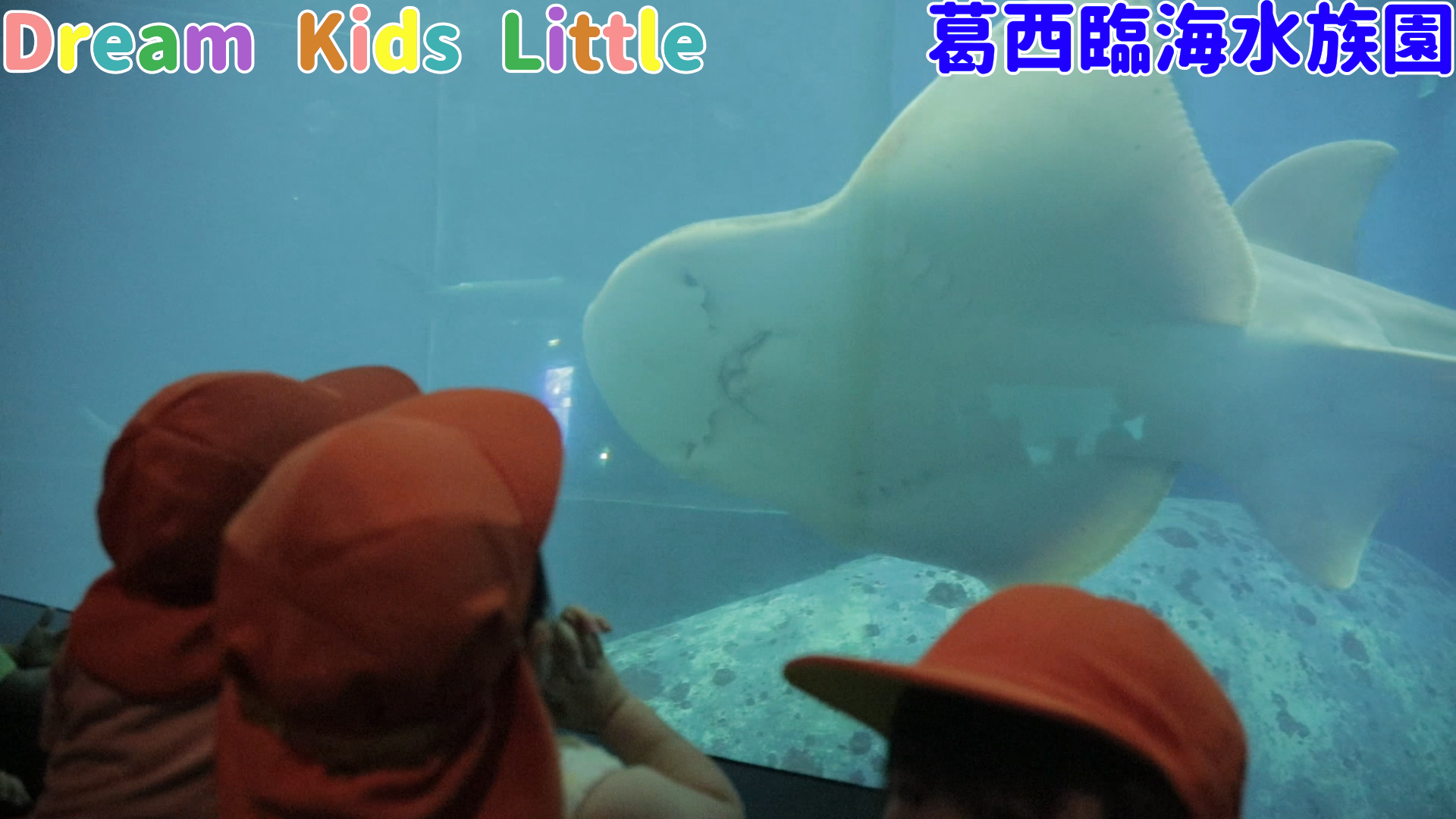 園児　水族館